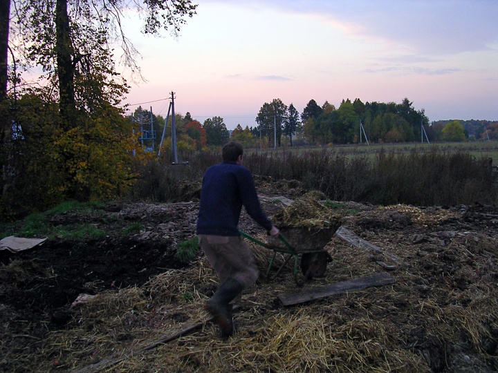 Moving Manure